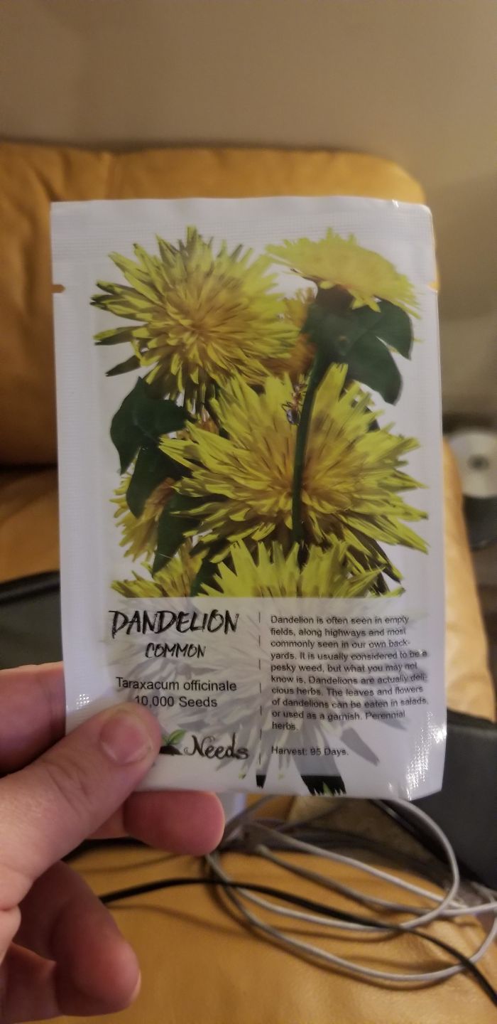 My Wife Is Planning Revenge Against The Annoying Neighbors