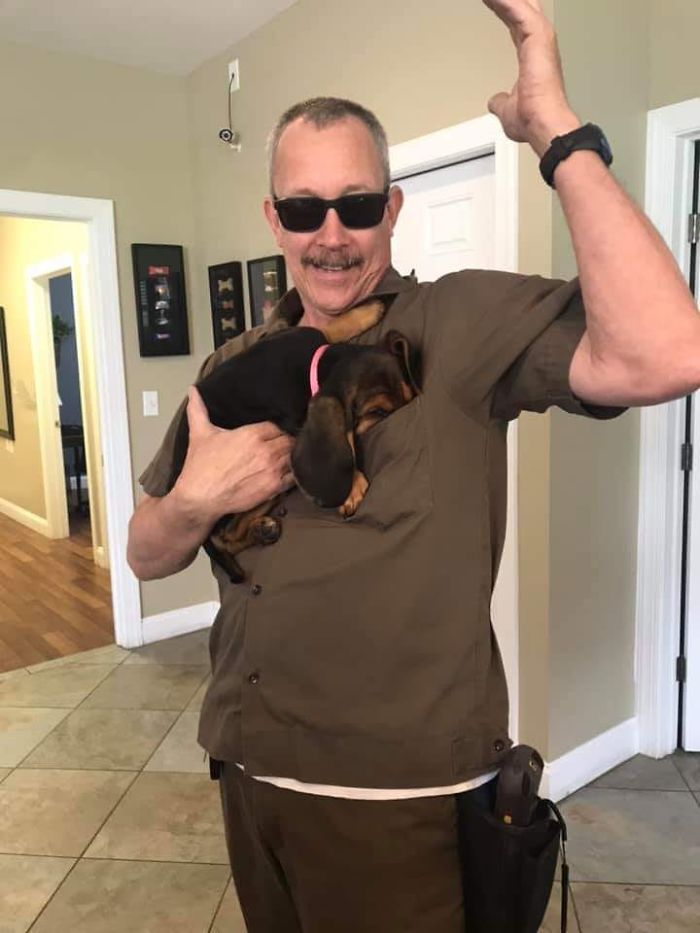 UPS-Drivers-Meets-Animals-Dogs