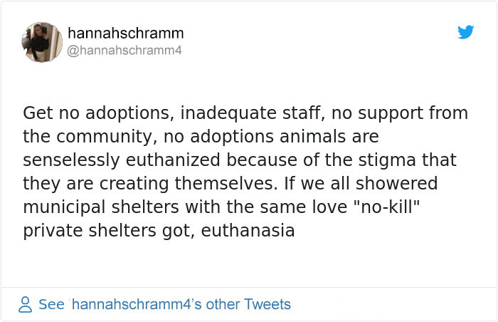 This Girl Explained The Difference Between A ‘Kill’ And ‘No-Kill’ Animal Shelter And It’s Eye-Opening This Girl Explained The Difference Between A ‘Kill’ And ‘No-Kill’ Animal Shelter And It’s Eye-Opening