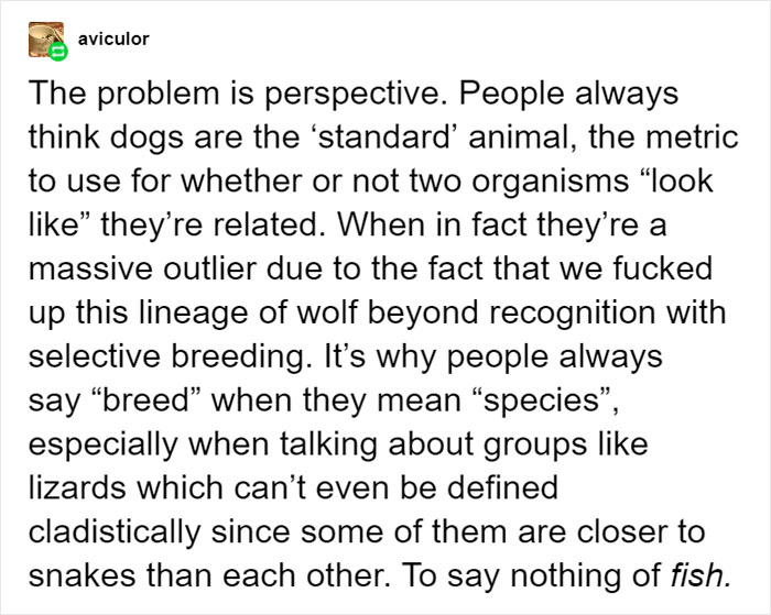 People Share Mindblowing Pairs Of Animals That Look Similar But Are Genetically Incompatible People Share Mindblowing Pairs Of Animals That Look Similar But Are Genetically Incompatible