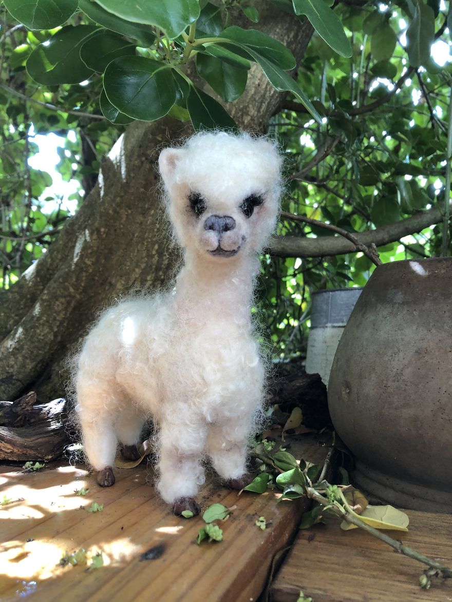 I'm A Self-Taught Australian Needle Felt Artist That Loves Animals