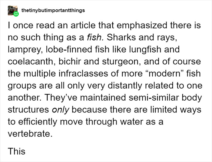 People Share Mindblowing Pairs Of Animals That Look Similar But Are Genetically Incompatible People Share Mindblowing Pairs Of Animals That Look Similar But Are Genetically Incompatible