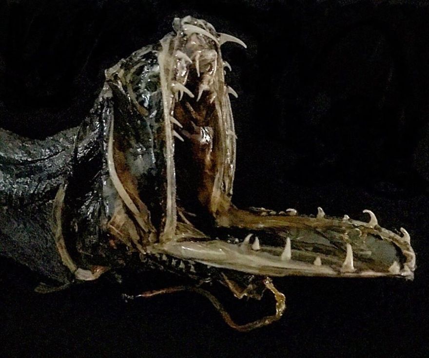 Taxidermied Deep-Sea Dragon Fish