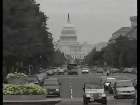 This Rescued King Penguin Loved Going To The Fish Market So Much That His Family Taught Him How To Buy Fish On His Own