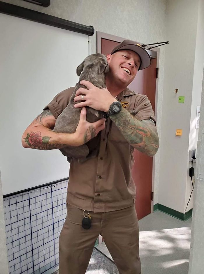 UPS-Drivers-Meets-Animals-Dogs
