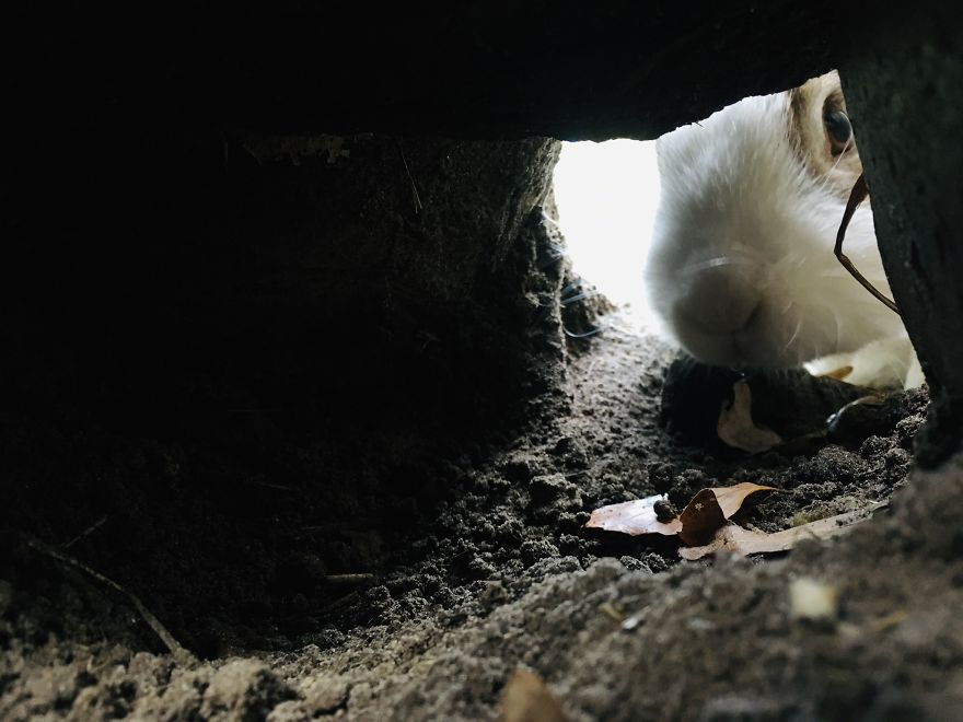 I Want To Prove With Nature Photo’s That Holland Isn’t The Whole Netherlands I Want To Prove With Nature Photo’s That Holland Isn’t The Whole Netherlands