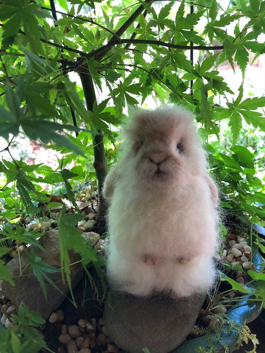 I'm A Self-Taught Australian Needle Felt Artist That Loves Animals