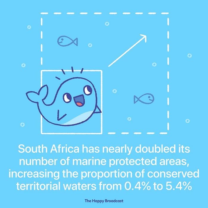 Positive-News-2019-Illustrations-Mauro-Gatti