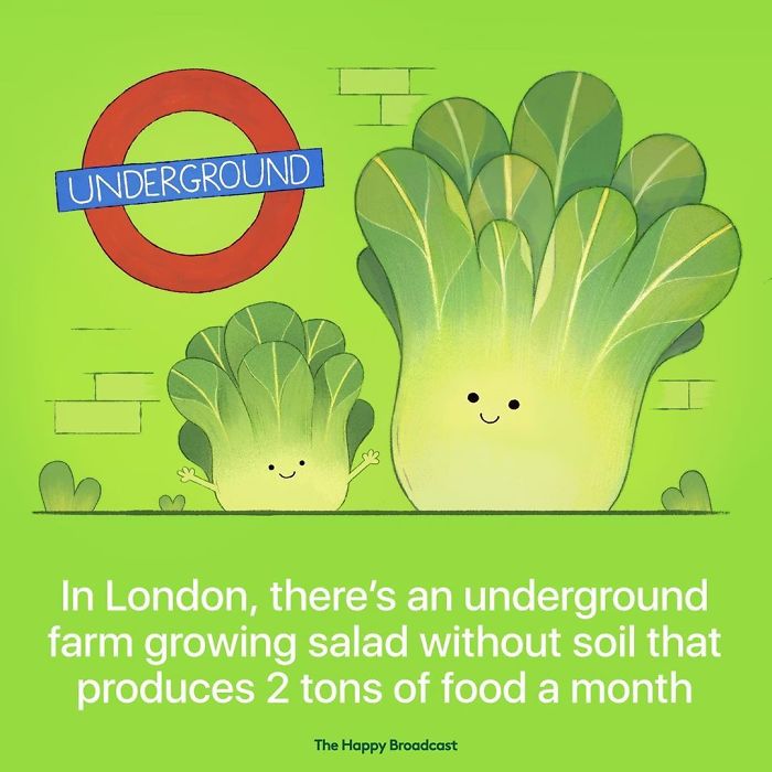 Positive-News-2019-Illustrations-Mauro-Gatti