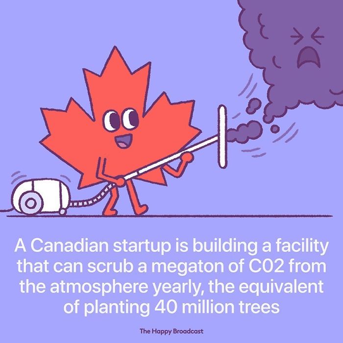 Positive-News-2019-Illustrations-Mauro-Gatti