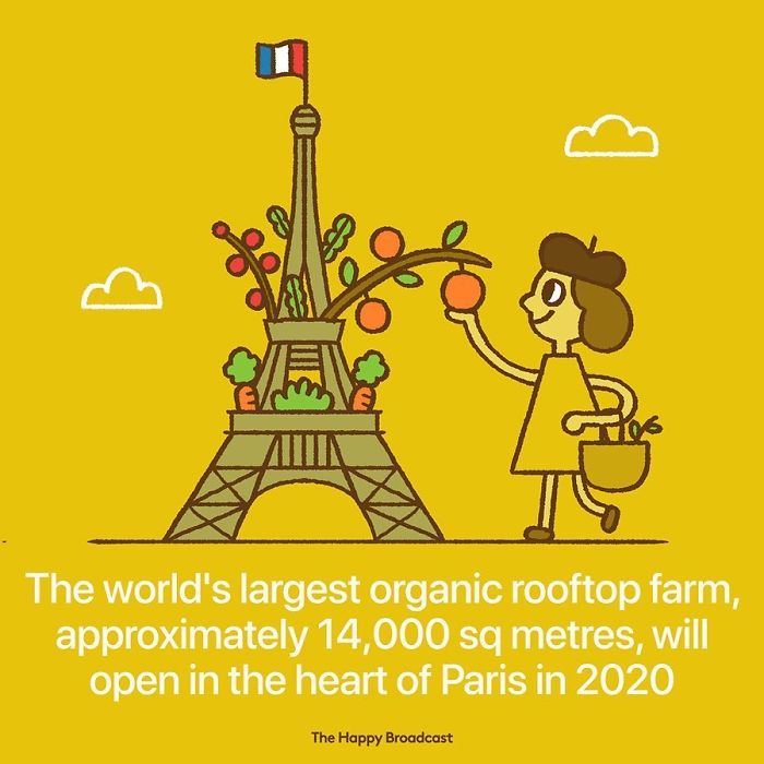 Positive-News-2019-Illustrations-Mauro-Gatti