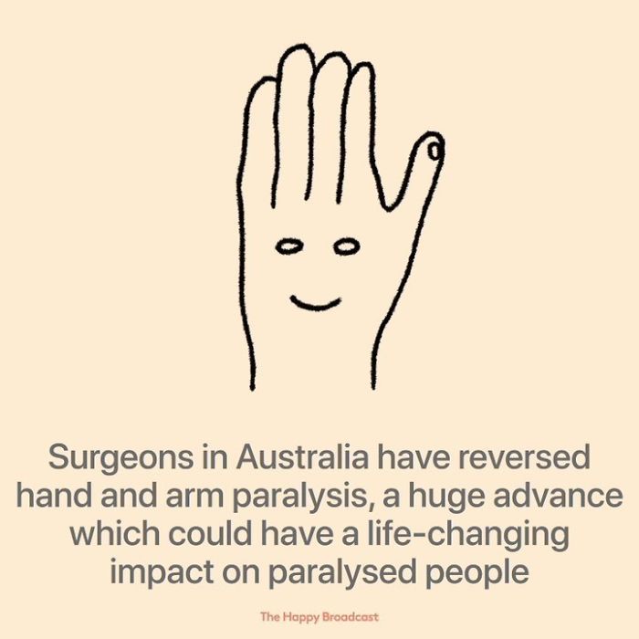 Positive-News-2019-Illustrations-Mauro-Gatti