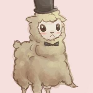 haleyheffernan avatar