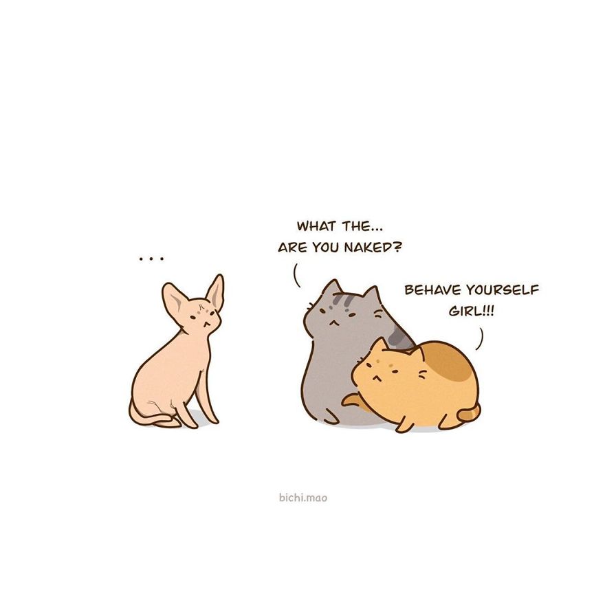 Artist Illustrates Cats With Attitude In Wacky Daily Life Scenarios!