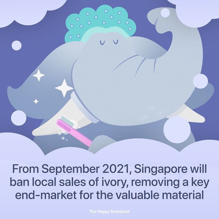 Positive-News-2019-Illustrations-Mauro-Gatti