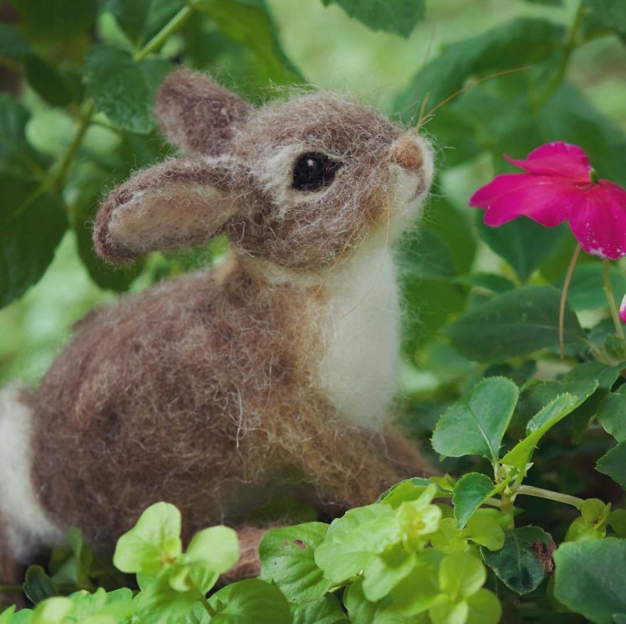 I Bring Wool To Life In Needle Felt Wildlife