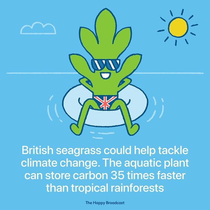 Positive-News-2019-Illustrations-Mauro-Gatti