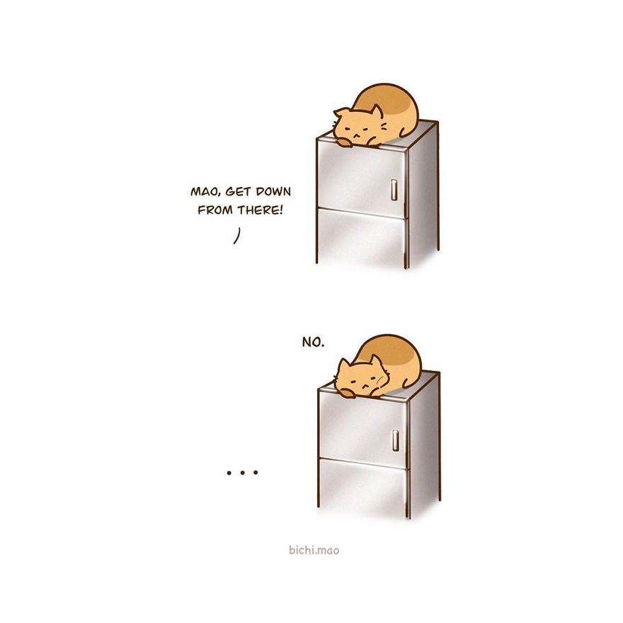 Artist Illustrates Cats With Attitude In Wacky Daily Life Scenarios!