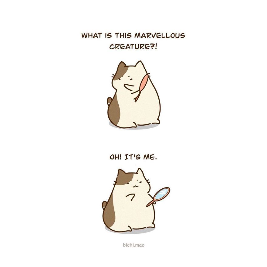 Artist Illustrates Cats With Attitude In Wacky Daily Life Scenarios!