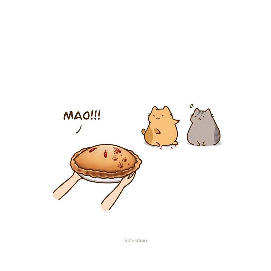 Artist Illustrates Cats With Attitude In Wacky Daily Life Scenarios!