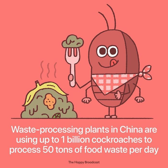 Positive-News-2019-Illustrations-Mauro-Gatti