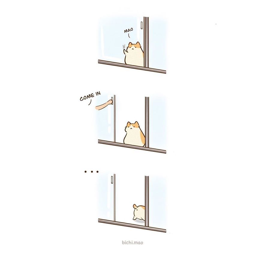 Artist Illustrates Cats With Attitude In Wacky Daily Life Scenarios!