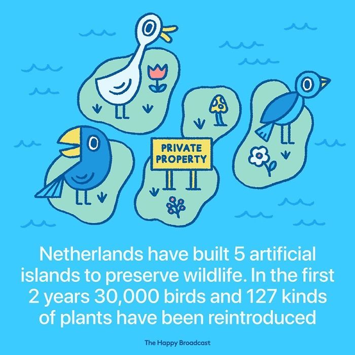 Positive-News-2019-Illustrations-Mauro-Gatti