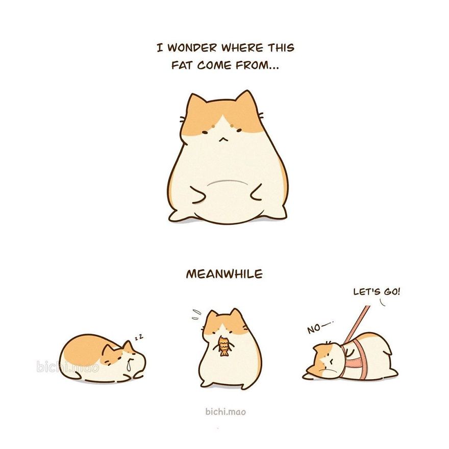 Artist Illustrates Cats With Attitude In Wacky Daily Life Scenarios!