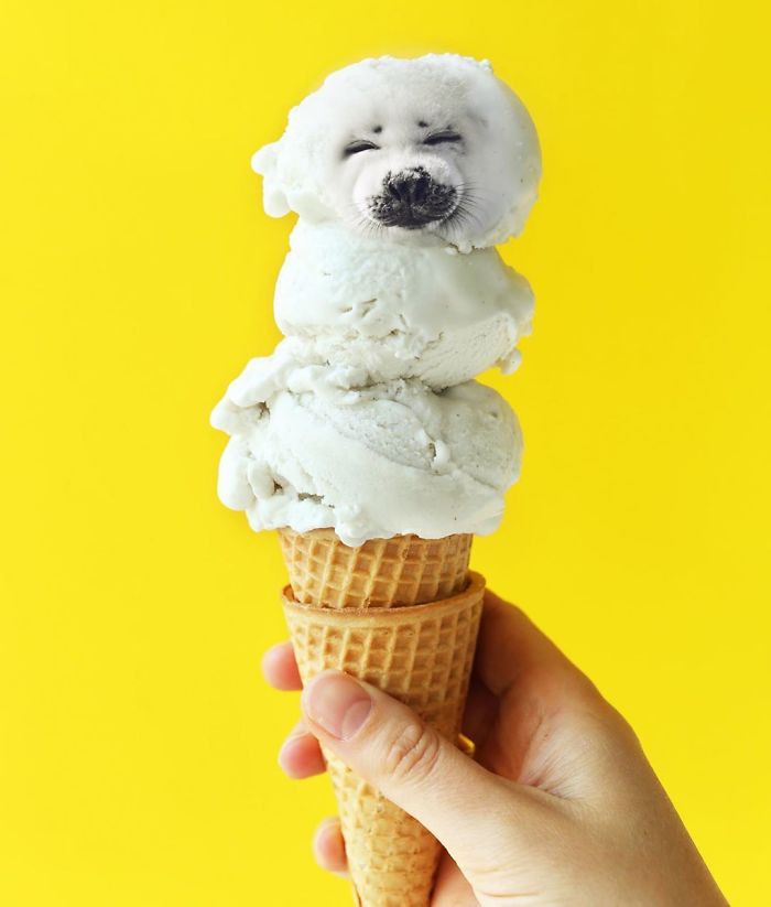 Seal The Deal With Some Ice Cream