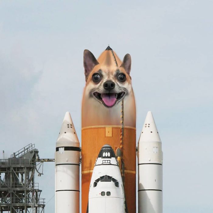 Rocketchi