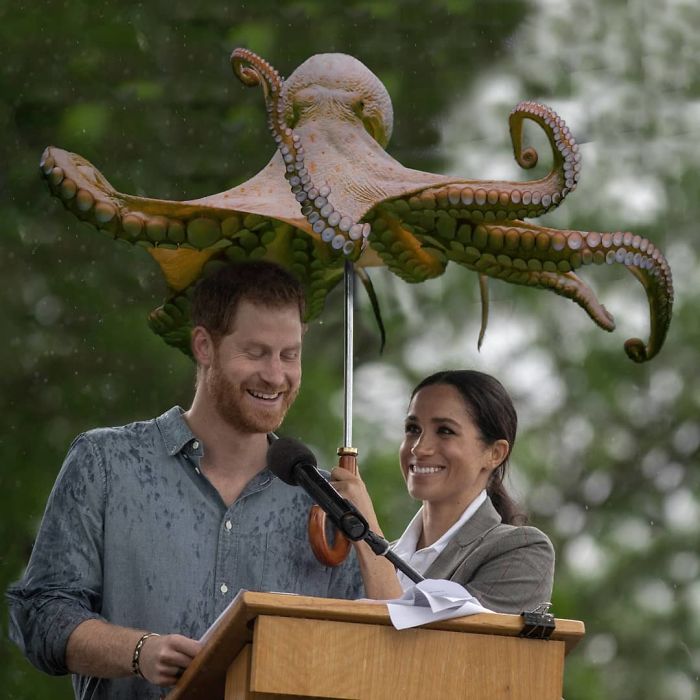 The Royal Octobrella