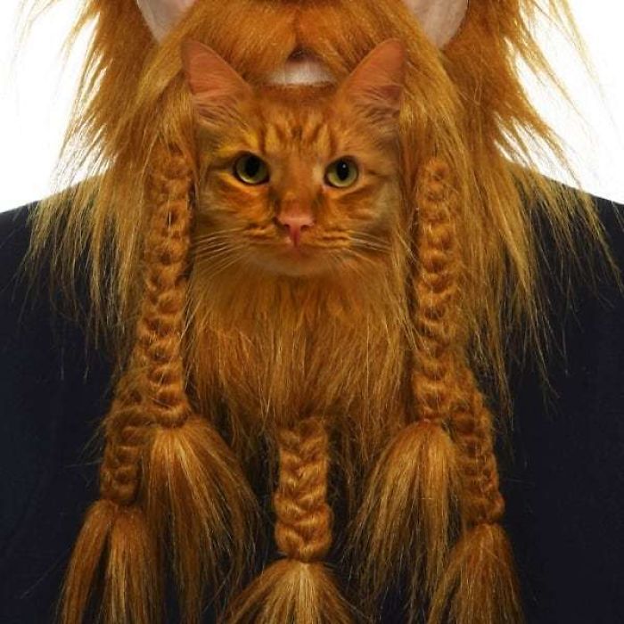 Lil G Starring As Cat Beard