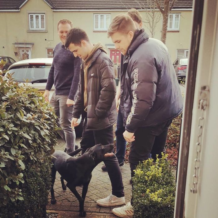 4 Guys Beg Their Neighbor To Let Them Play With Their Dog, Get A Wholesome Letter In Response 4 Guys Beg Their Neighbor To Let Them Play With Their Dog, Get A Wholesome Letter In Response