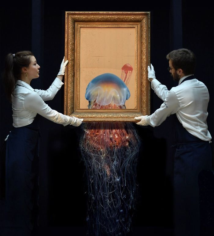 That’s Gotta Sting 