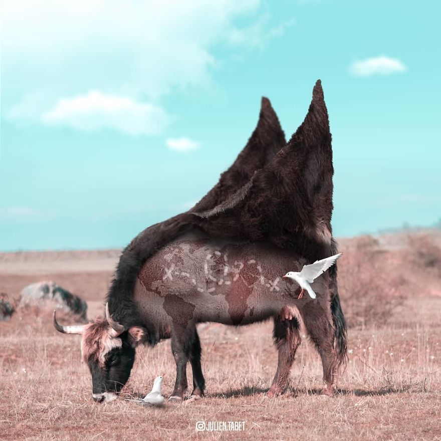 I Spent 2 Years Redesigning The Animal Kindgom (27 Pics)