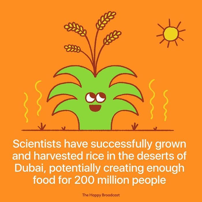 Positive-News-2019-Illustrations-Mauro-Gatti