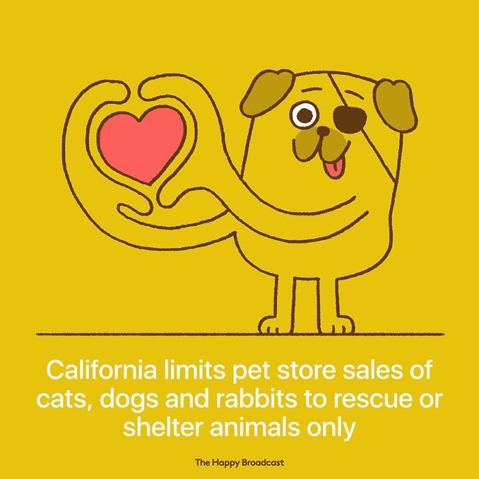 Positive-News-2019-Illustrations-Mauro-Gatti