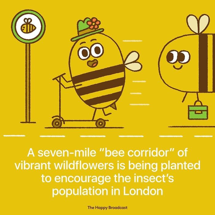 Positive-News-2019-Illustrations-Mauro-Gatti