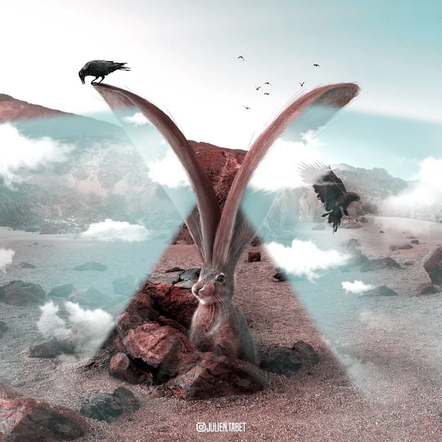 I Spent 2 Years Redesigning The Animal Kindgom (27 Pics)