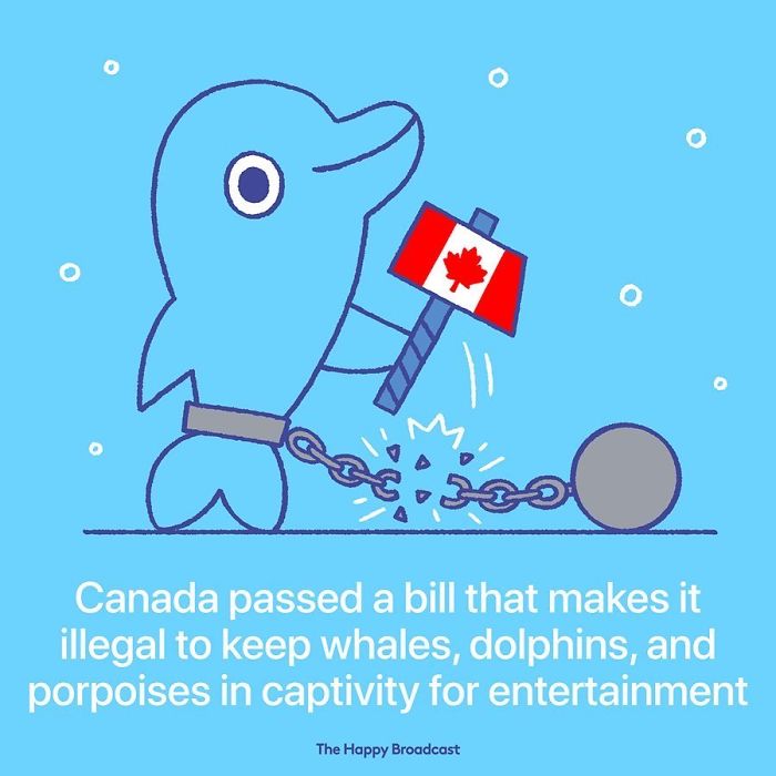 Positive-News-2019-Illustrations-Mauro-Gatti