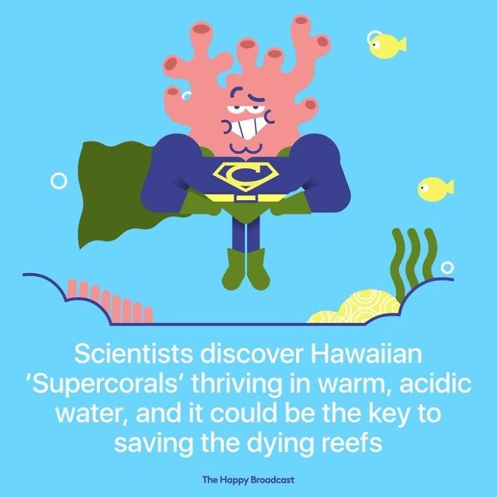 Positive-News-2019-Illustrations-Mauro-Gatti