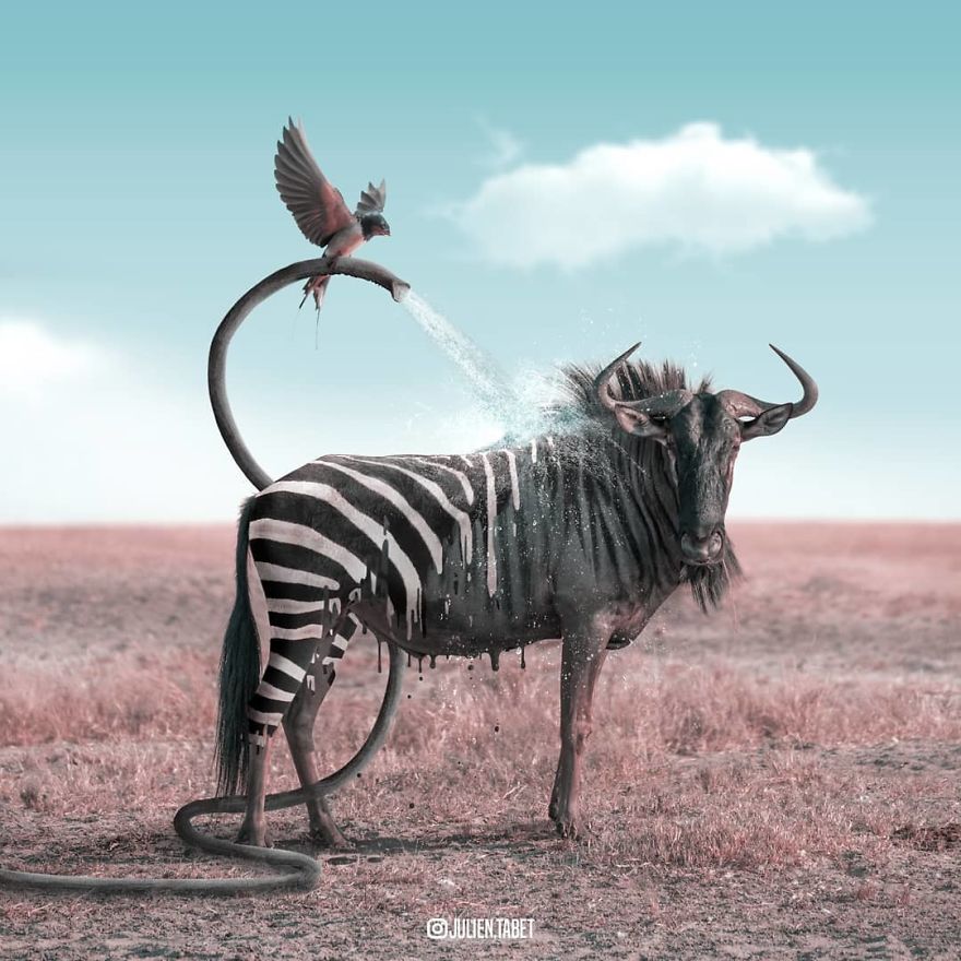 I Spent 2 Years Redesigning The Animal Kindgom (27 Pics)