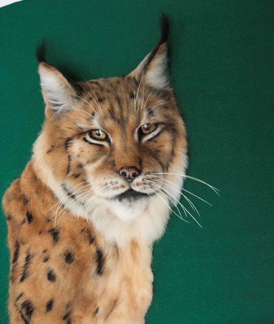 Unreal Living Portraits That Keep The Souls Of Pets!