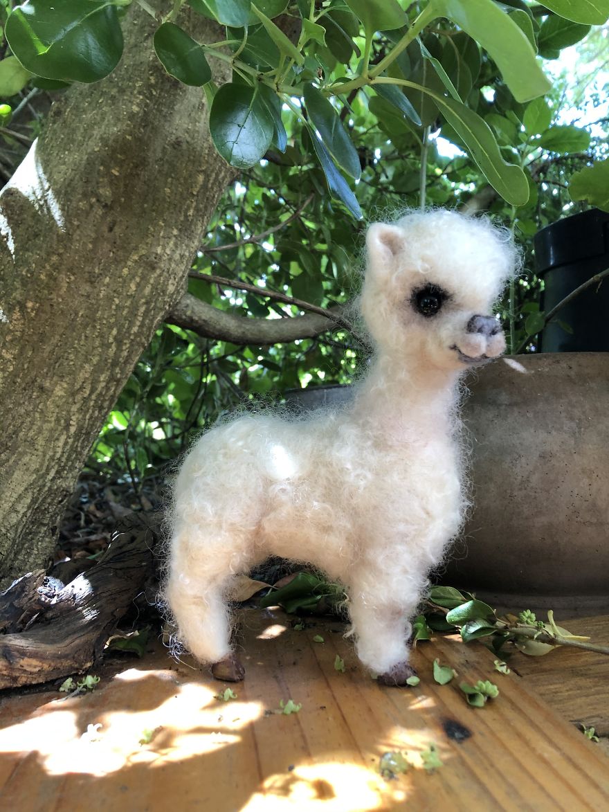 I'm A Self-Taught Australian Needle Felt Artist That Loves Animals