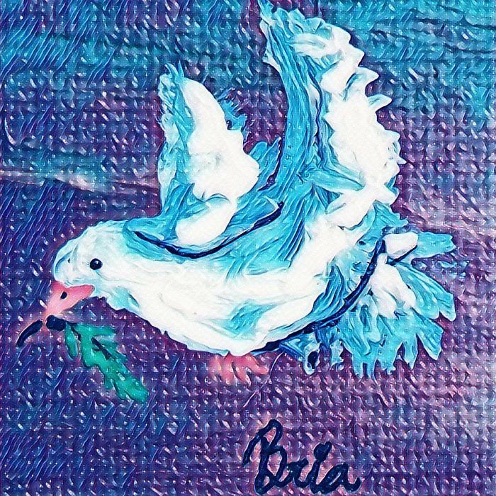 Faces Of The Endangered, My Story