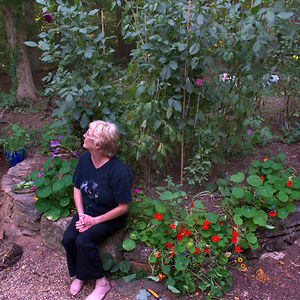 scottishhighlandwildcat avatar