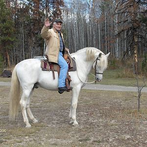 santinomarazzo avatar