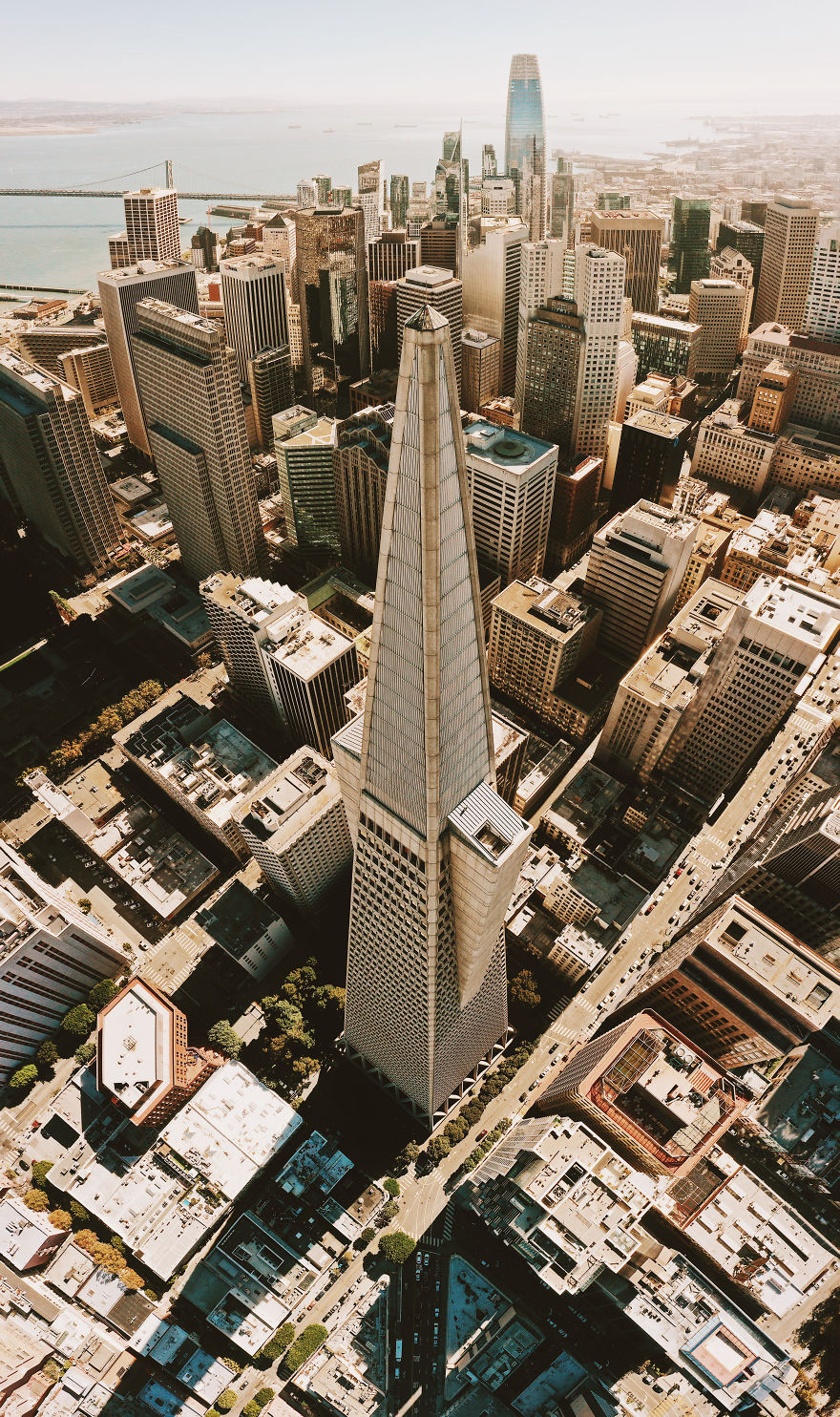 Transamerica Vertigo