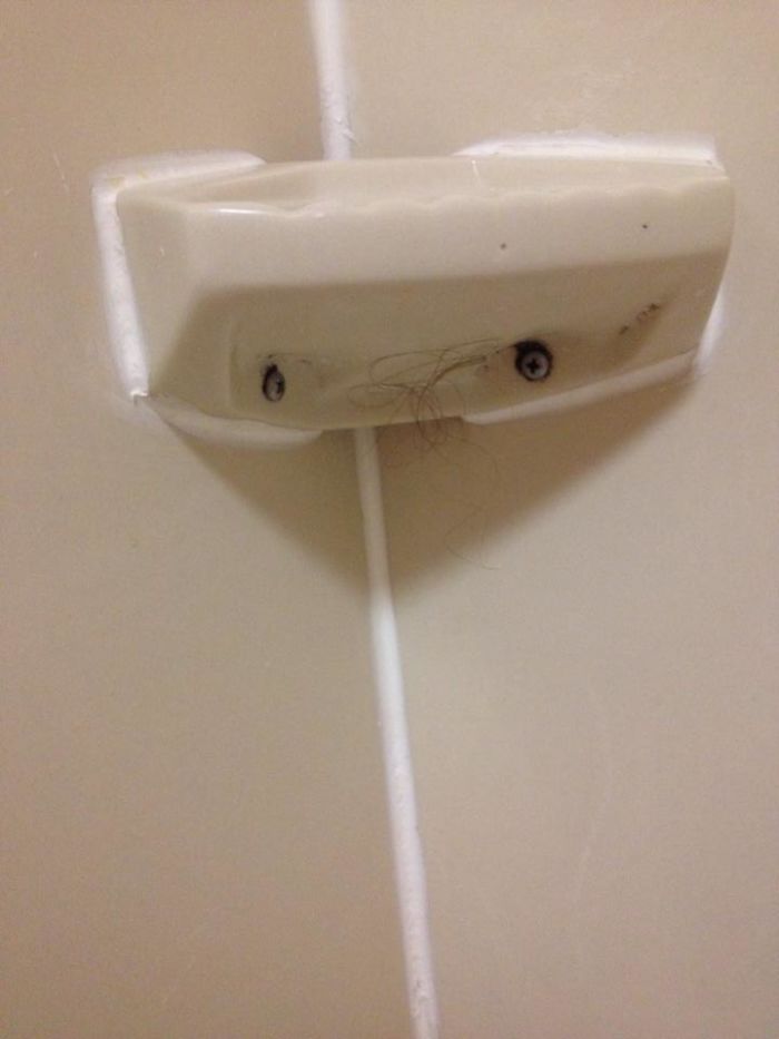 A Little Birds Nest Of Hair