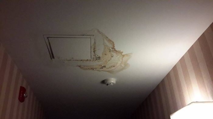 Ceiling Mold